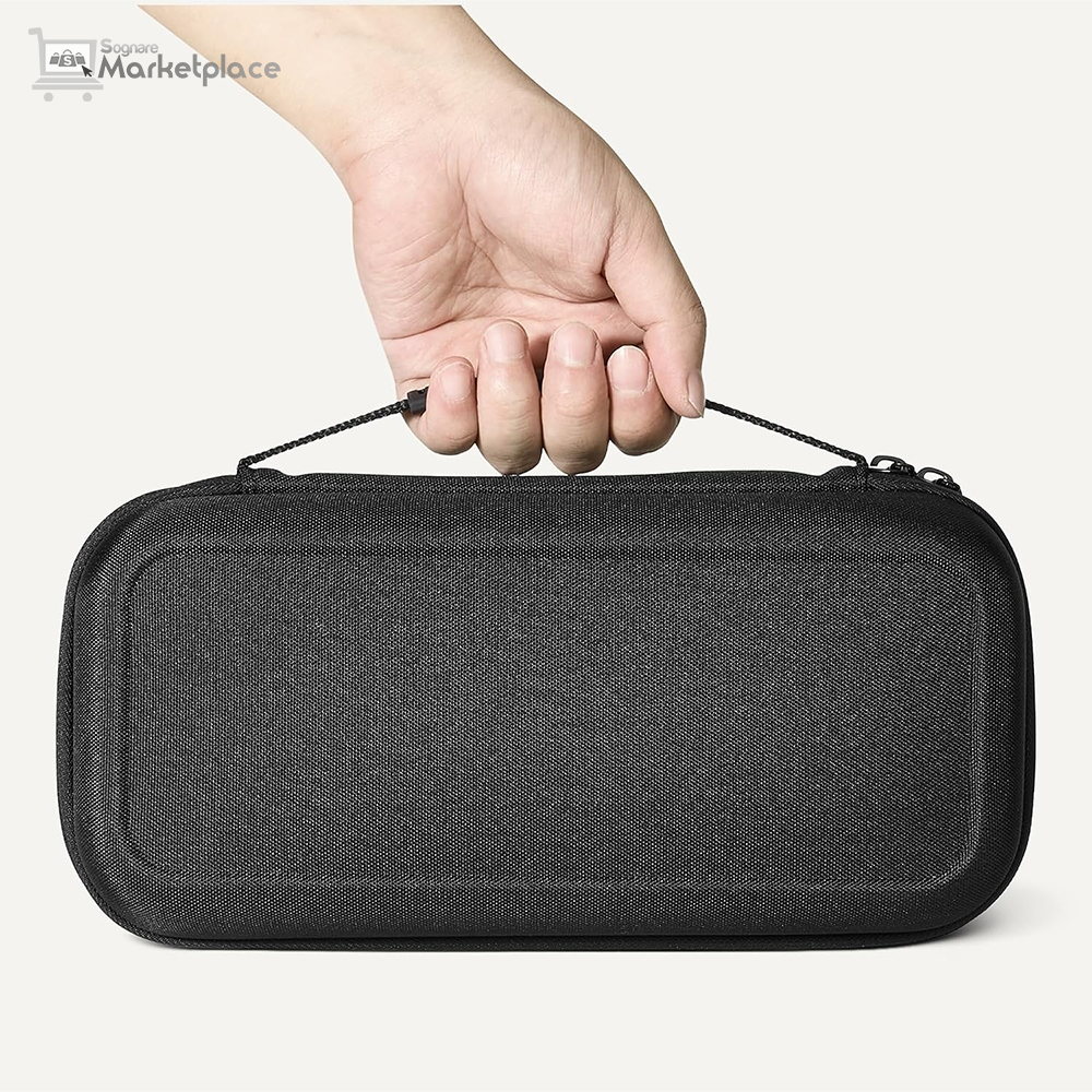 Amazon Basics Universal Nintendo Switch Carrying Case